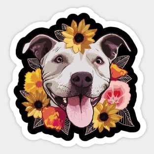 Sheeba Sticker